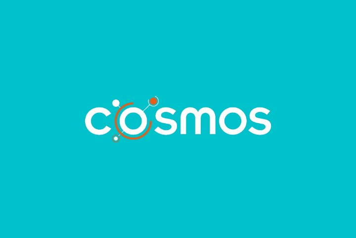 Cosmos recrute des Auditeurs Internes Juniors